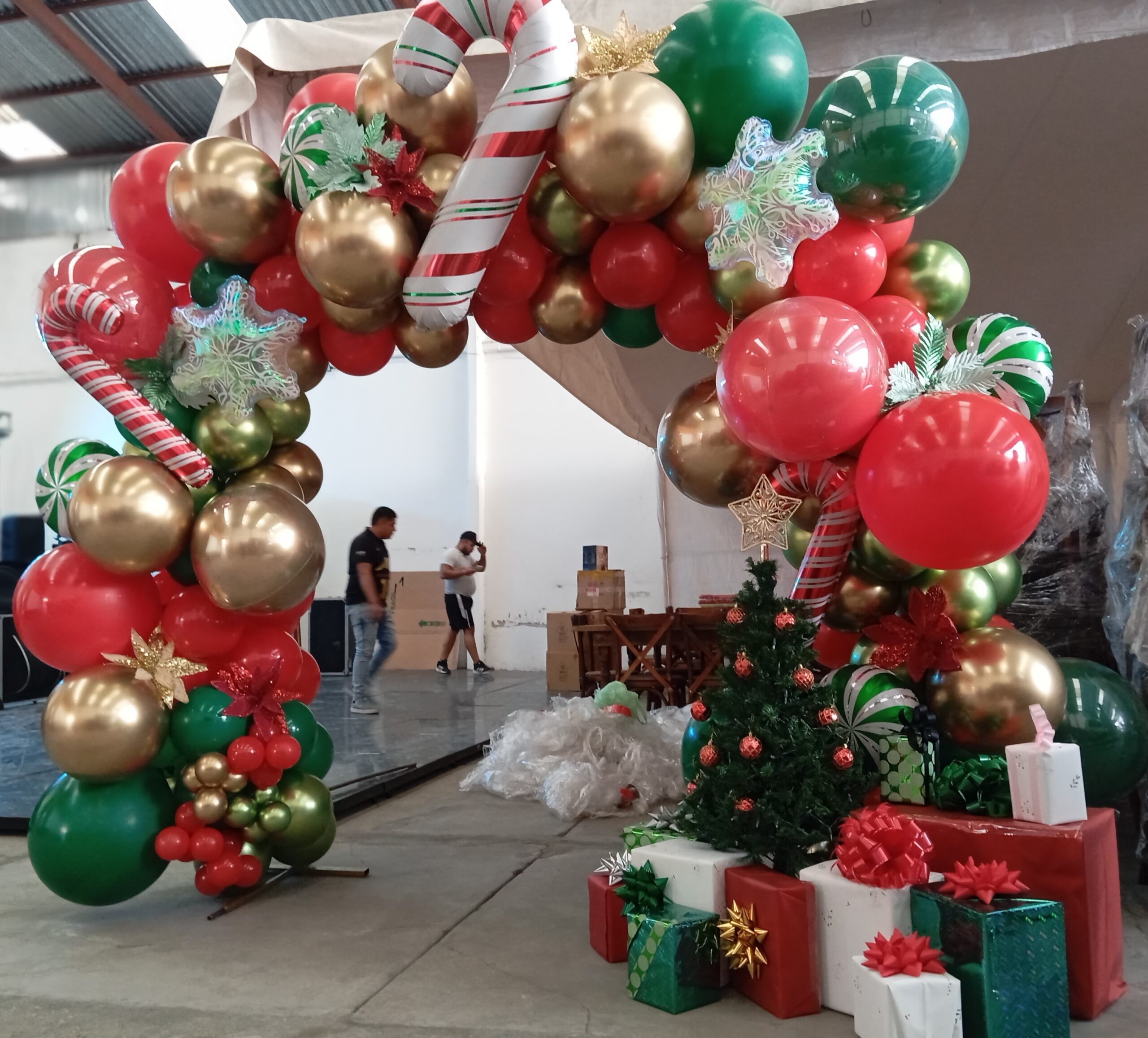 IMG_20241224_164131[1]